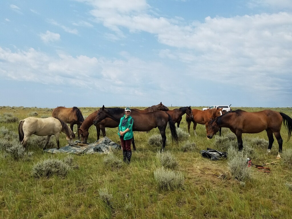 Eva standing in a brush field right next to a herd of more than 10 horses.